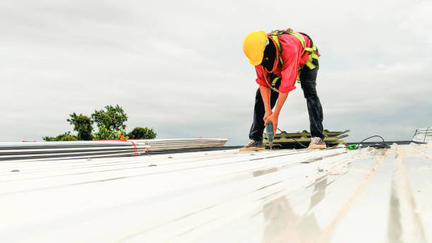 Best Roof Maintenance and Cleaning  in Beckley, WV